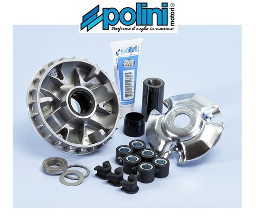 Polini 241 608 variator - polini, 241.608